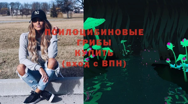 2c-b Алексин