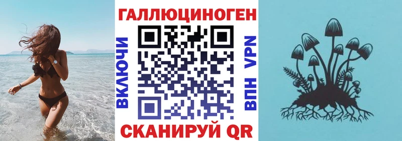 Псилоцибиновые грибы Psilocybine cubensis  мориарти какой сайт  Сенгилей 
